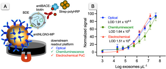 Open-access article in Biosensors and Bioelectronics: plasma exosomes for Alzheimer’s risk stratification